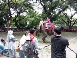 Libur Natal, Pengunjung Kebun Binatang Surabaya Membludak
