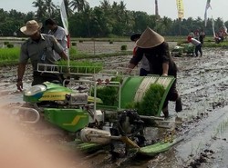 Pemerintah Bagi-bagi 100.000 Alsintan Tahun Depan