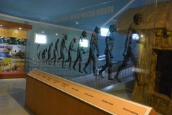 Kembali ke Zaman Purba di Sangiran