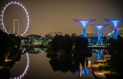 Dreaming at the night world