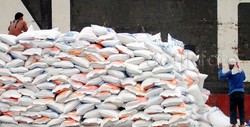Anggaran Minim, Bulog Hanya Bisa Pasok 250-300 Ribu Ton Beras Setahun