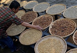 Menilik Kampung Binaan BNI