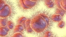 Gonore Dapat Menjadi Penyakit Tak Terobati