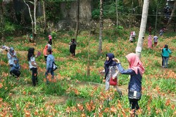 Selfie yang Tidak Tahu Diri di Akhir Tahun 2015