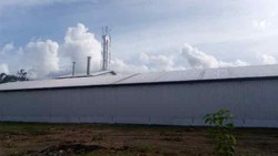 Pabrik Sagu Perhutani Buka Akses Jalan ke Pedalaman Sorong Selatan