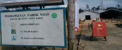 Ini Dia Penampakan Pabrik Sagu Terbesar RI di Papua Barat
