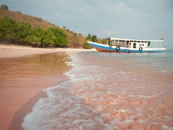 Namo, Satu Lagi Pantai Berpasir Pink di Komodo