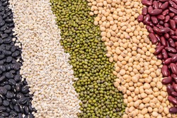 Tak Perlu Takut Konsumsi Karbohidrat, Ini Alasannya (2)