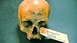 Temuan DNA Ungkap Fakta Baru tentang Asal-usul Bangsa Irlandia