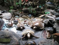 Liburan Tahun Baru ke Medan, Ada 4 Museum keren