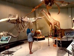 Maharani Zoo di Lamongan Tawarkan Wisata Edukasi di Tahun Baru