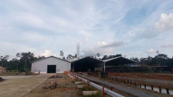 Resmikan Pabrik Sagu Terbesar, Jokowi: Semoga Bermanfaat Bagi Warga Papua