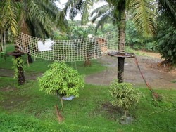 Libur Tahun Baru bersama Anak, ke Taman Edukasi Avros Medan