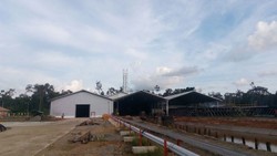 Jual Sagu Hingga ke China, Perhutani Targetkan Omzet Rp 100 M/Tahun