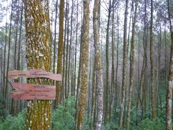 Libur Akhir Tahun ke Puncak Bintang, Bandung Saja!