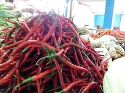 Awal Tahun, Harga Cabai Merah di Jakarta Tembus Rp 50.000/Kg