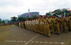 Pemerintah Bakal Pangkas Jumlah PNS 37,1%