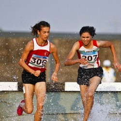 KOI Wacanakan Tambah Jumlah Cabang Olahraga Asian Games di Palembang