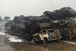 100 Mobil Hangus Terbakar di Pelelangan Mobil Dekat Kota Sydney