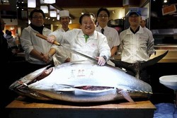 Ikan Tuna Bluefin Seberat 222 Kg Terjual Seharga Rp 1,6 Miliar Dalam Lelang