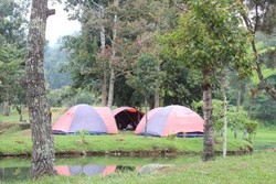 Kemping Asyik di Bumi Perkemahan Mandalawangi Cibodas