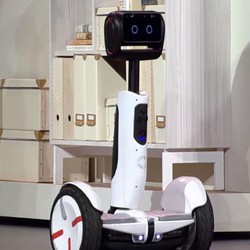 Pepper, Ninebot Xiaomi Berotak Intel