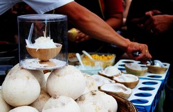 coconut Island freeze