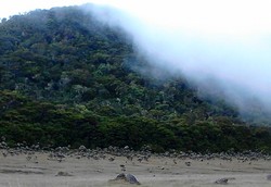 Sudut Cantik Alun-alun Surya Kencana di Gunung Gede