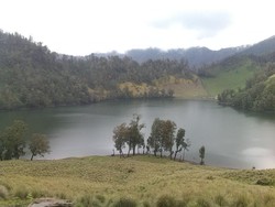 Perjalanan Singkat Menyusuri Indahnya Semeru