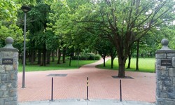 Nah, Ini Dia 10 Kota Paling Bebas Polusi di Dunia