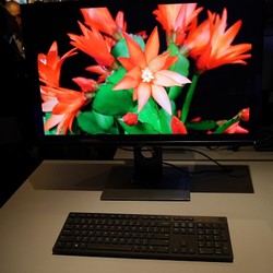 UltraSharp 30, Monitor OLED Pertama Dell