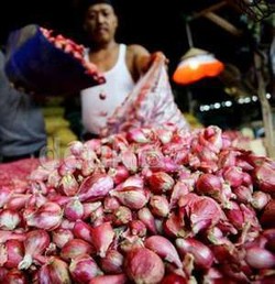 Surplus Bawang Merah, RI Ekspor ke Thailand Hingga Singapura