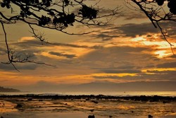 Berburu Emas di Pantai Sawarna