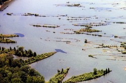 Kuburan Kapal di AS yang Berubah Jadi Cagar Alam Cantik