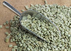 Tepung Kopi Bisa Jadi Solusi Baru Menikmati Kopi