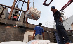 Ini Alasan RI Ingin Impor Beras dari India dan Pakistan