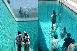 Kolam Ajaib di Jepang, Bisa Foto Ala Underwater Tanpa Kebasahan