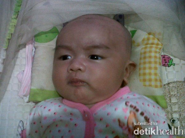 Annisa Alhaq