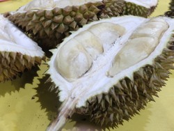 Siapa yang Kangen Ucok Durian?