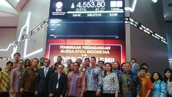 Ekonomi Sulit, Ini Strategi Martina Berto di 2016