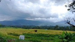 Kenalkan, Ini Dharmasraya yang Eksotis di Tanah Minang