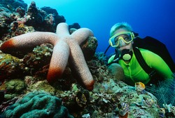 Tips Penting Untuk Pertama Kali Diving