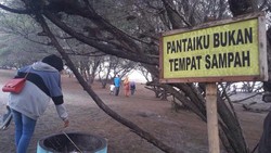 Bantul Punya Pantai Cantik di Balik Pohon Cemara