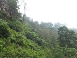 Coban Rondo, Salah Satu Ikon Kota Batu di Jatim