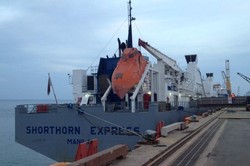 Indonesia Terapkan PPN Sapi Impor, Eksportir Australia Kaget