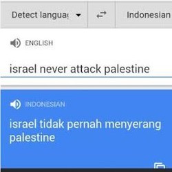 Lubang di Google Translate Seret Israel dan Palestina