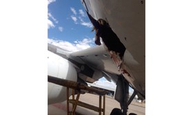 Tabrak Burung Saat Mendarat, Badan Pesawat Bolong di Namibia