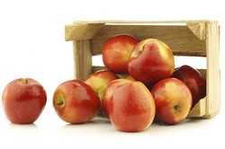 Saat Perut Kembung Hindari Konsumsi Apel dan Permen Karet (1)