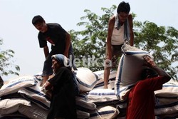 Kejar Serapan 3,9 Juta Ton Beras, Bulog Minta Fleksibilitas HPP