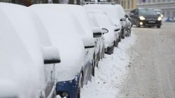 Hanya Kenakan Celana Dalam, Pria Norwegia Kejar Pencuri